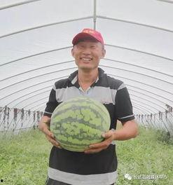 寺寺娱乐吃瓜,揭秘娱乐圈吃瓜背后的真相